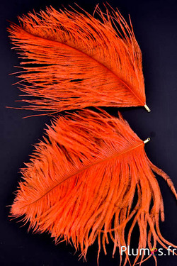 Anhänger Straußenkopf - 17-20 cm - blutorange